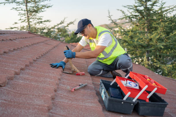 Best Flat Roof Repair Services  in Dilworth, MN