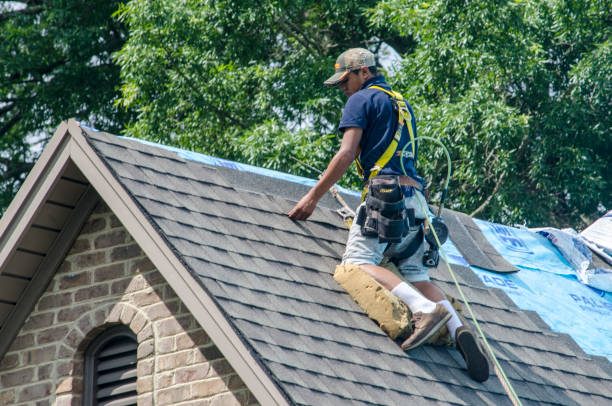 Best Roof Leak Repair  in Dilworth, MN